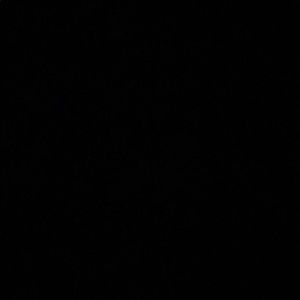 Meet your Posher, Mia